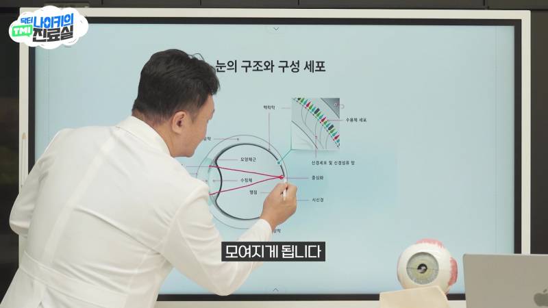 현모양처는 못됐네, 박연진. (더글로리 연진이도 색약일 가능성이 높은 이유) | 인스티즈