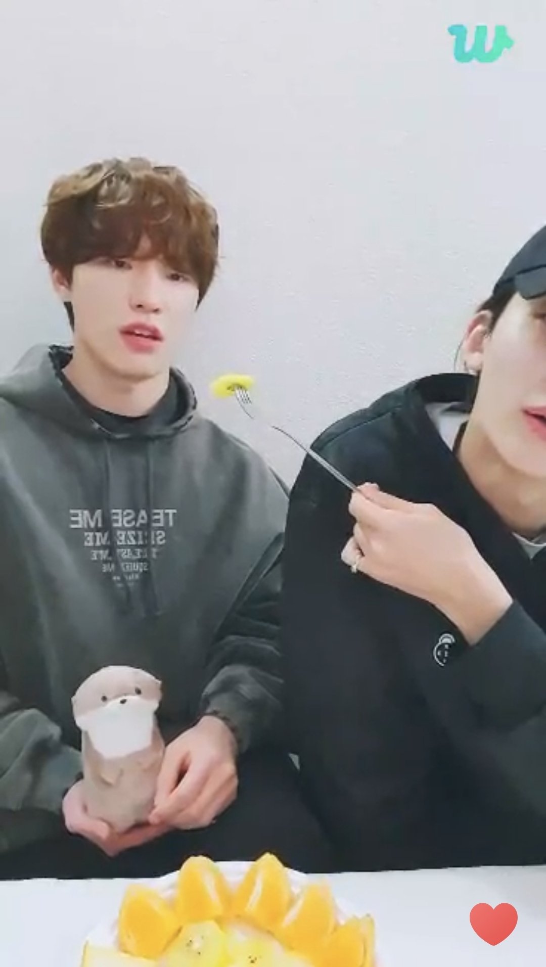 [잡담] 시종일관 진지한 디노랑 그냥 동생한테 키위 먹여주고 싶은 정한 | 인스티즈