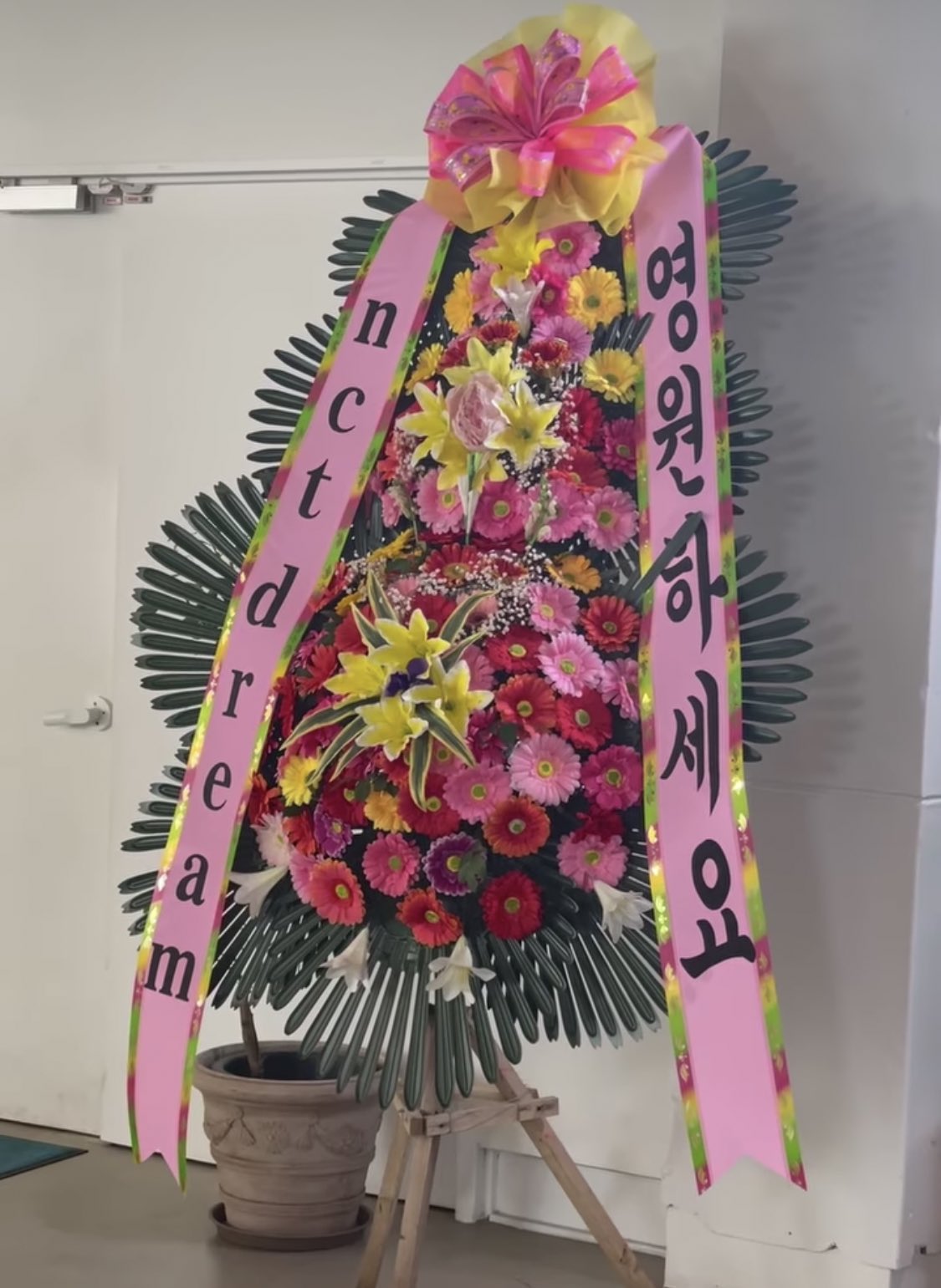 [정리글] 엔시티드림 팬들이 많이 쓰는 덕질 용어 정리해봄 | 인스티즈