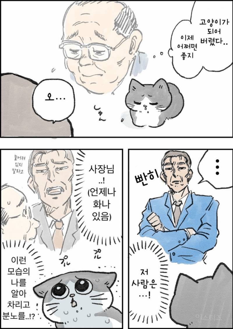 고양이가 되버린 아저씨.jpg | 인스티즈