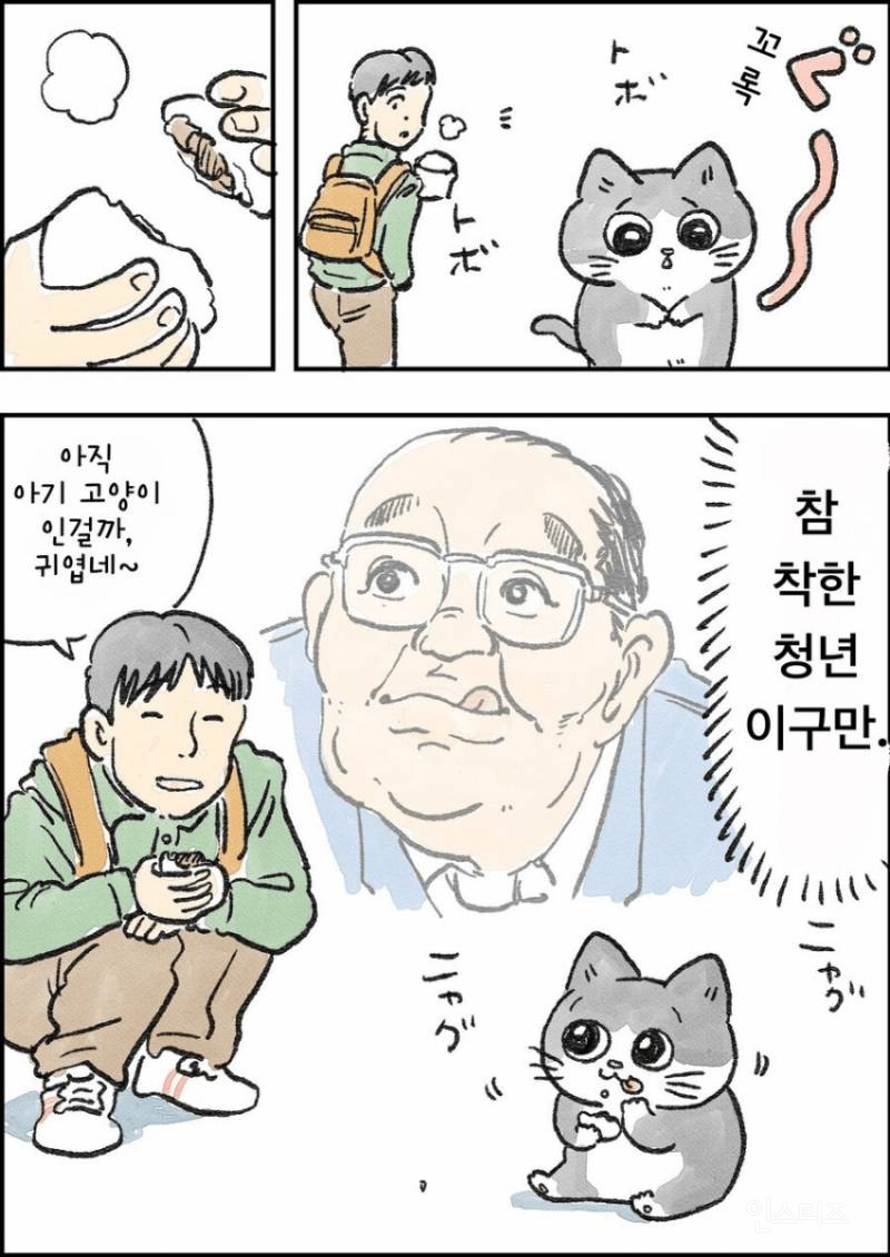 고양이가 되버린 아저씨.jpg | 인스티즈