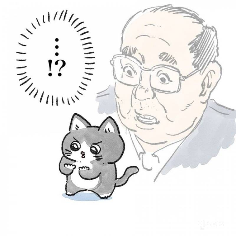 고양이가 되버린 아저씨.jpg | 인스티즈