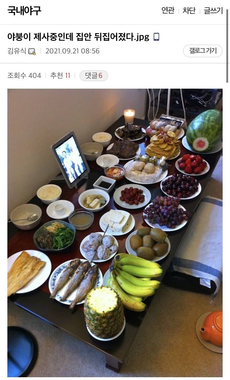 아이거개웃김ㅋㄱㄱㄱㄱ | 인스티즈