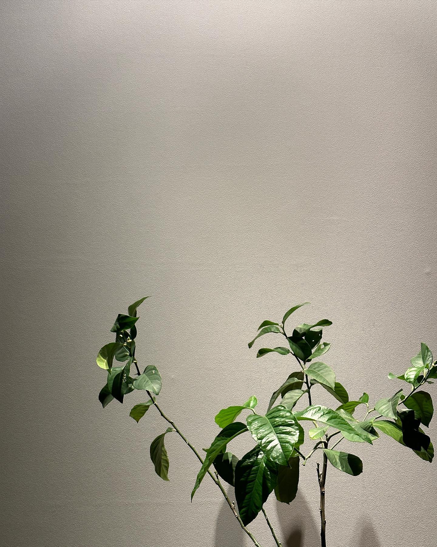 [잡담] 태연 오늘 필테 조졋구나 | 인스티즈
