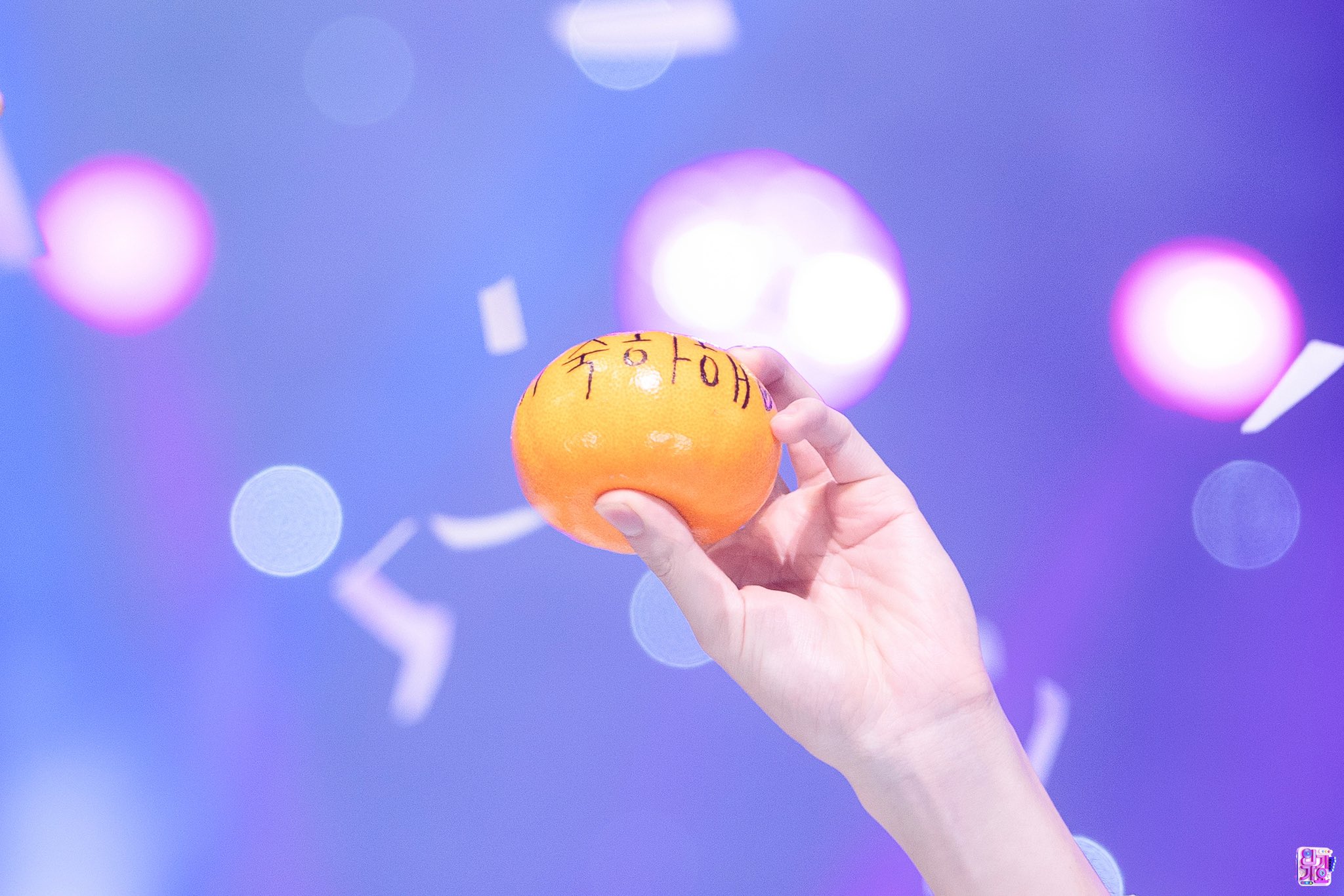 [잡담] 아 인가 사진셀렉 개웃김 | 인스티즈