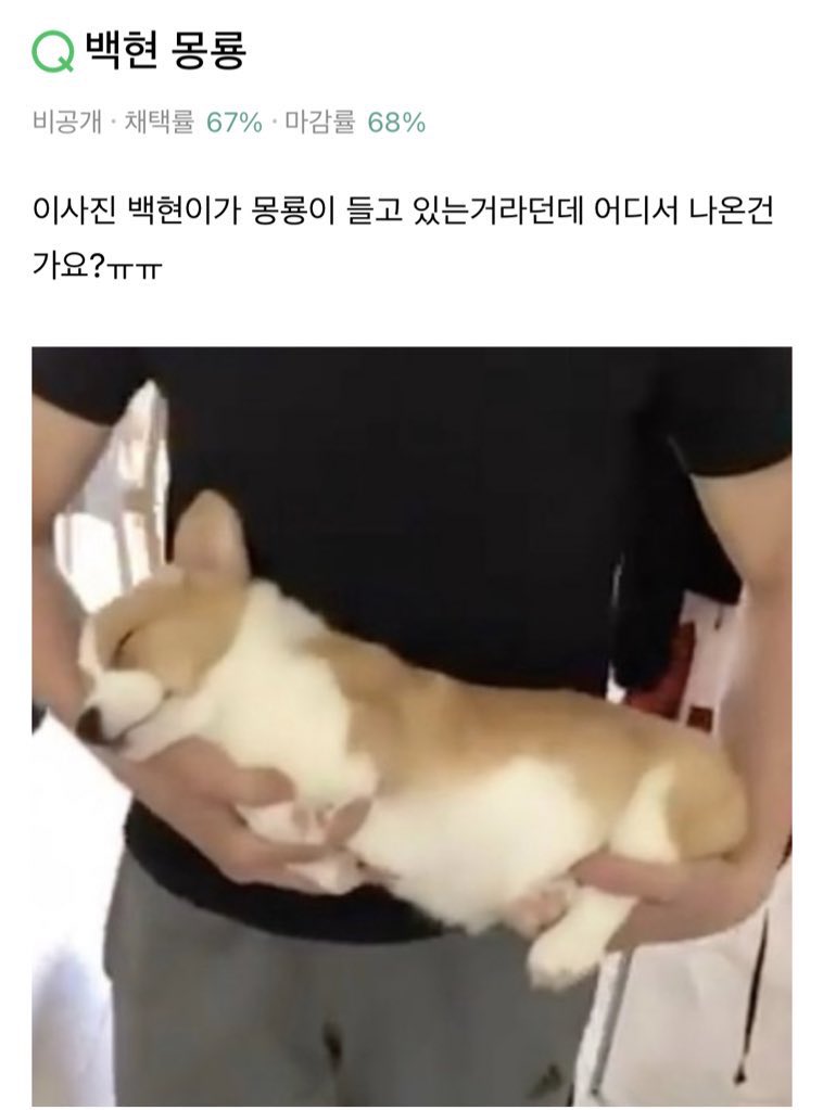 [잡담] 백현 글 이거 개웃기다ㅋㅋㅋㅋㅋㅋㅋ | 인스티즈