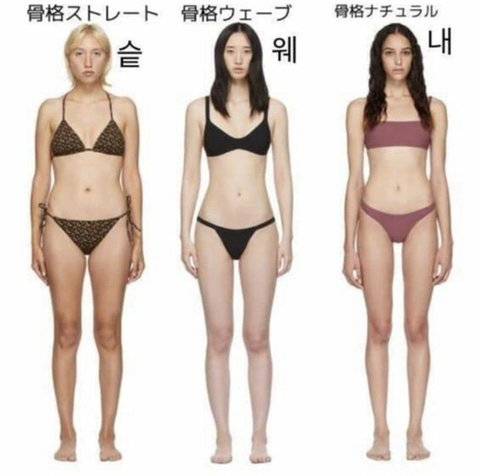 너네는 무슨체형이야? | 인스티즈