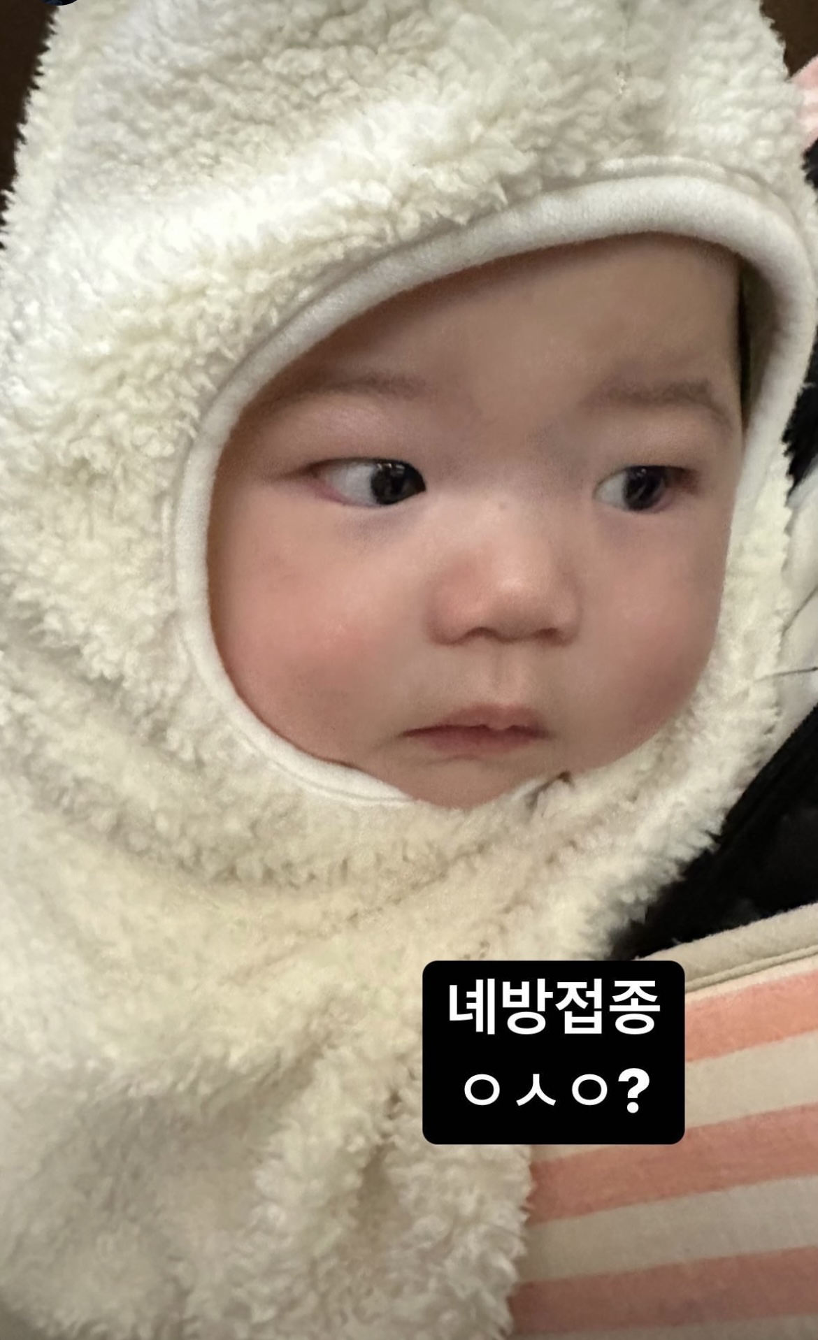 [잡담] 똥별이 사진 뜬 거ㅠㅠㅠㅠ너무 귀여워ㅠㅠㅠㅠㅠㅠ볼살봐ㅠㅠㅠㅠㅠㅠㅠㅠㅠㅠㅠㅠㅠㅠㅠㅠㅠㅠㅠㅠ | 인스티즈