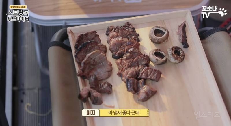 학대 받은 유기견 소고기로 힐링 시켜 주는 사람들 | 인스티즈