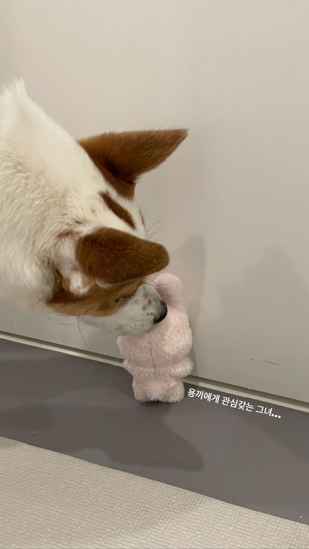 [잡담] 솔라 인스타 올린거 너무 가슴아픈데...ㅋㅋㅋㅋㅋㅋ | 인스티즈