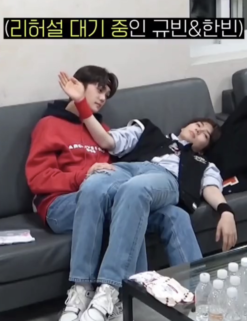 [잡담] 보플 김규빈 성한빈 뭐하는거야?ㅋㅋㅋㅋㅋㅋㅋㅋㅋ | 인스티즈