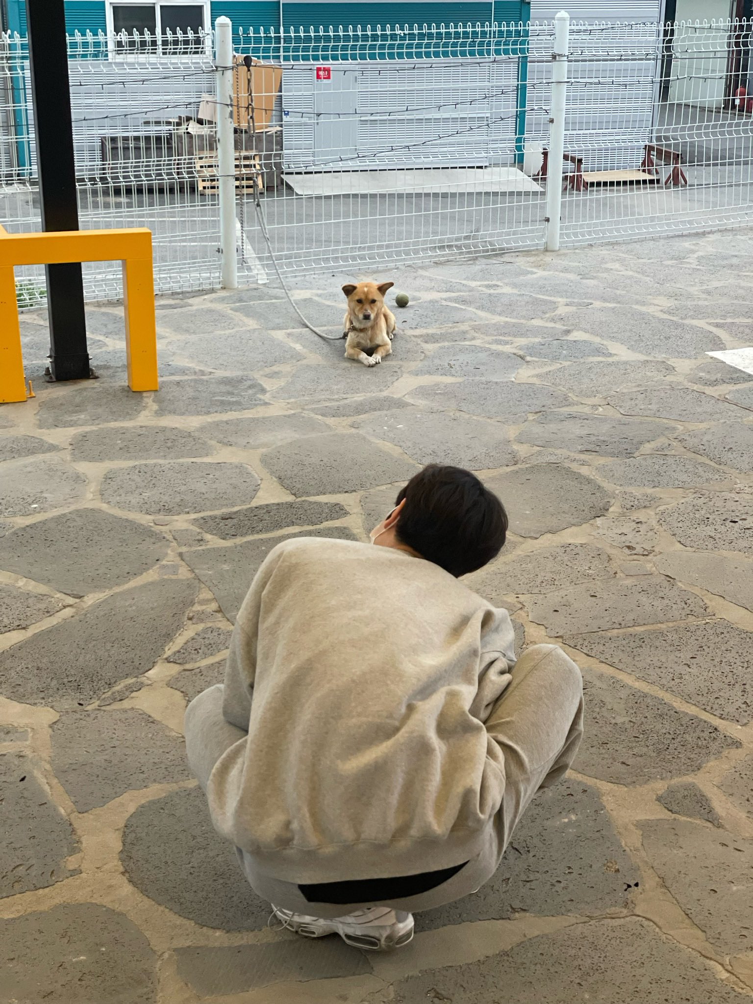 [잡담] 와 솔직히 이런건 진짜 남친짤 완전가능 ㅇㅈ | 인스티즈