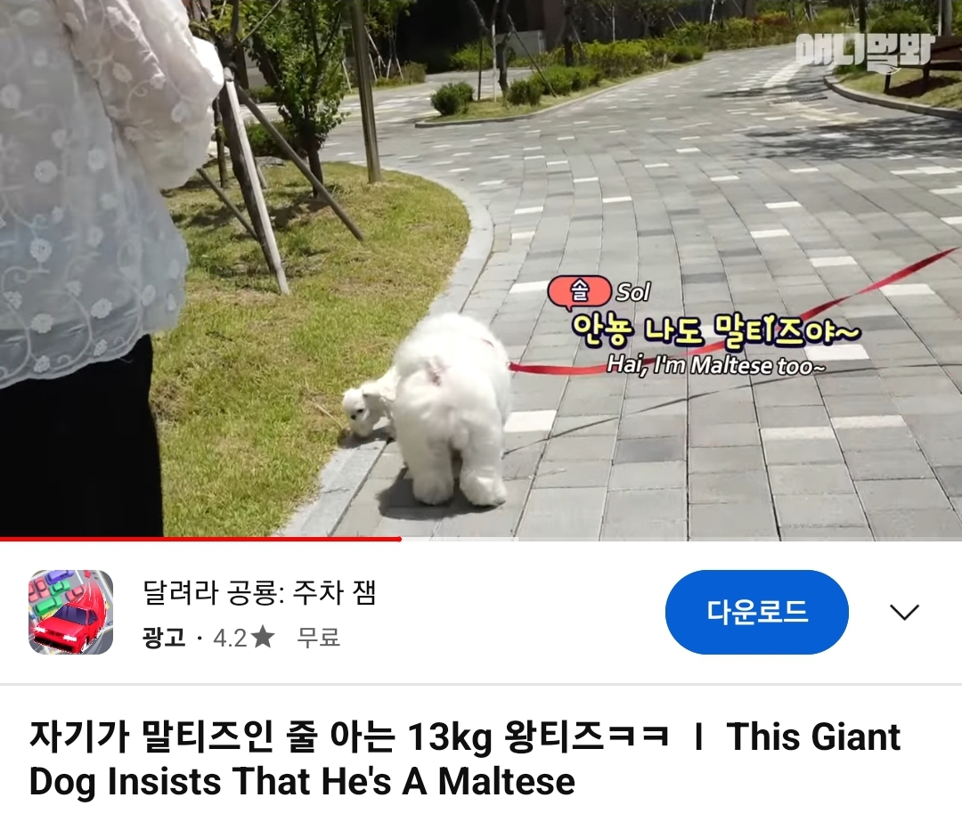 [잡담] ㅇㄴ 동물농장에 세븐틴 민규 나왔었네 | 인스티즈