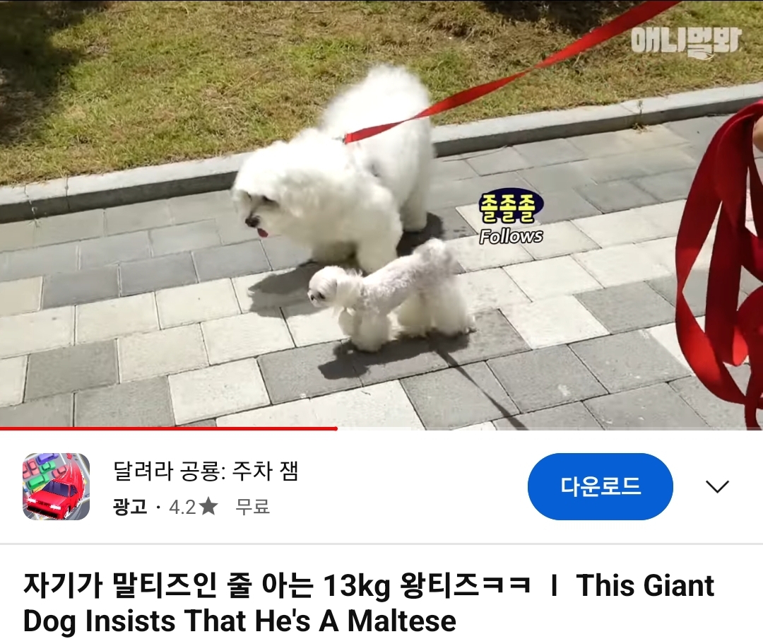 [잡담] ㅇㄴ 동물농장에 세븐틴 민규 나왔었네 | 인스티즈