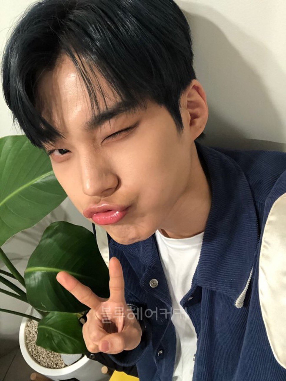 [잡담] 박한빈 데뷔시켜야되는 이유: | 인스티즈