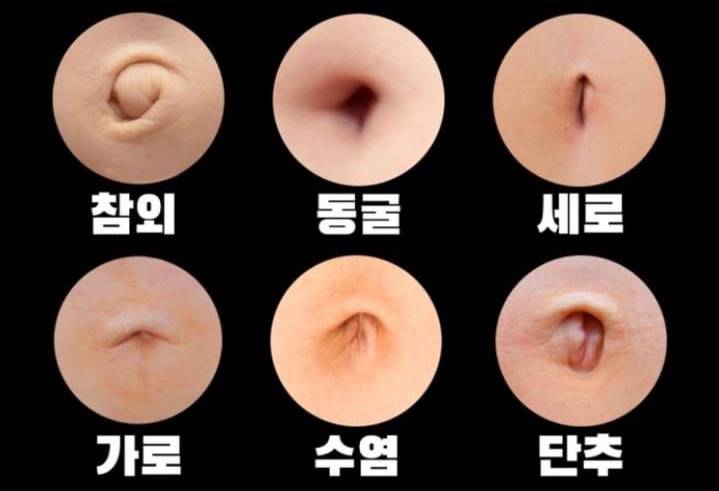 이 중에 이쁜 배꼽이 뭐야?? | 인스티즈