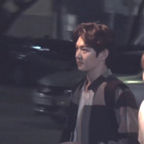 [잡담] 이정도면 소나무로 쳐주나…? | 인스티즈