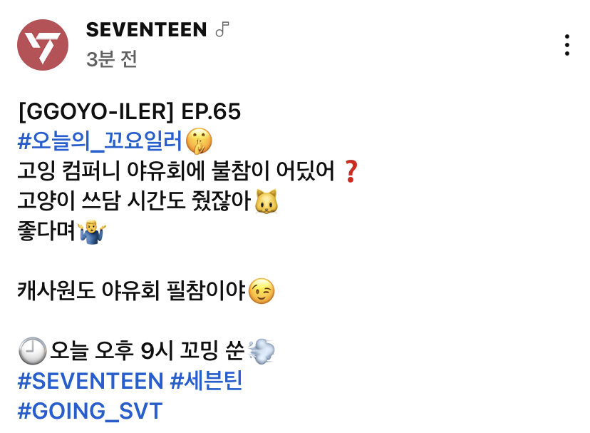 [잡담] 고잉세븐틴 2023 첫화는 고잉 컴퍼니 야유회 | 인스티즈