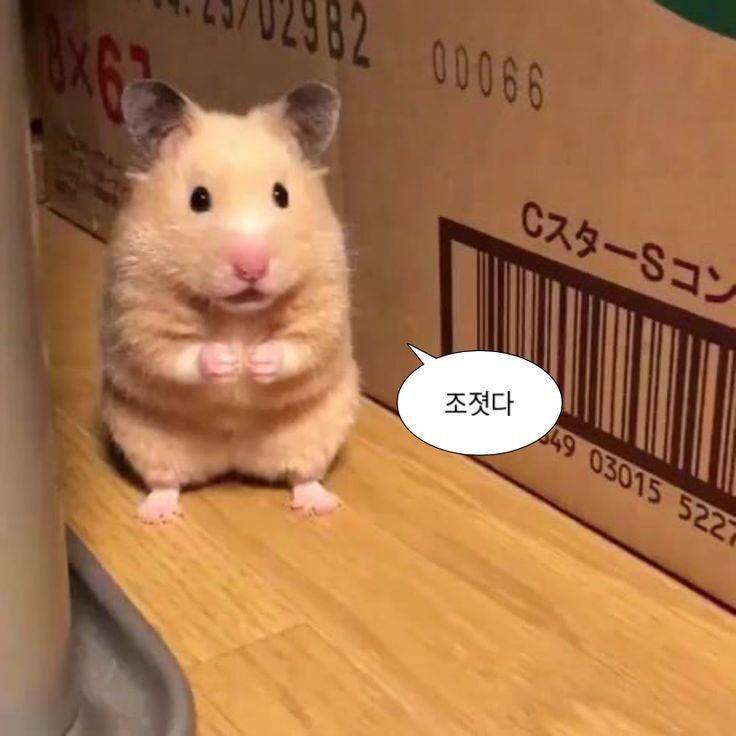 내일 학교가기 싫어용.. | 인스티즈