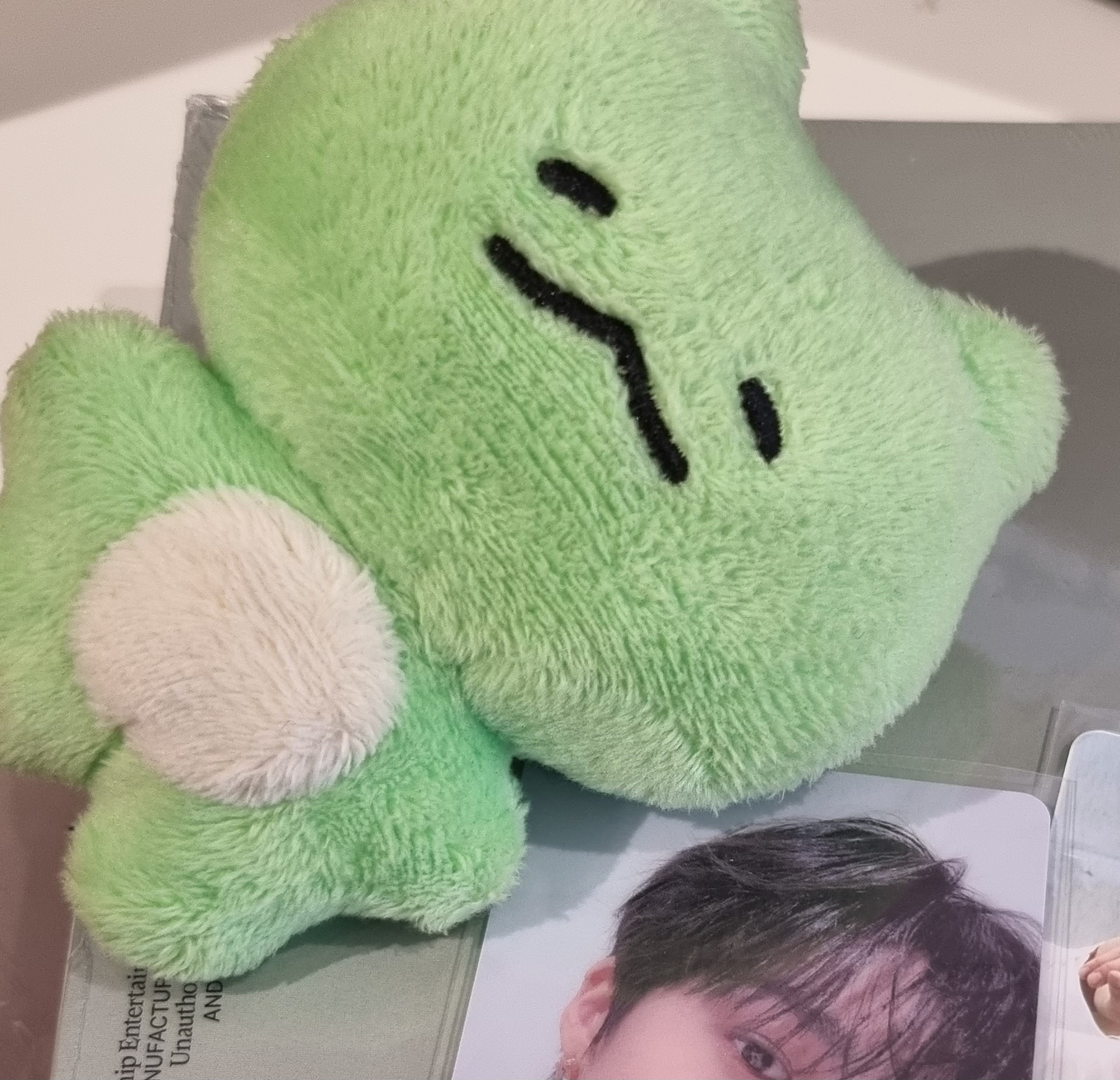 [잡담] 내 최애 인형 너무 꼬질해가지고 | 인스티즈