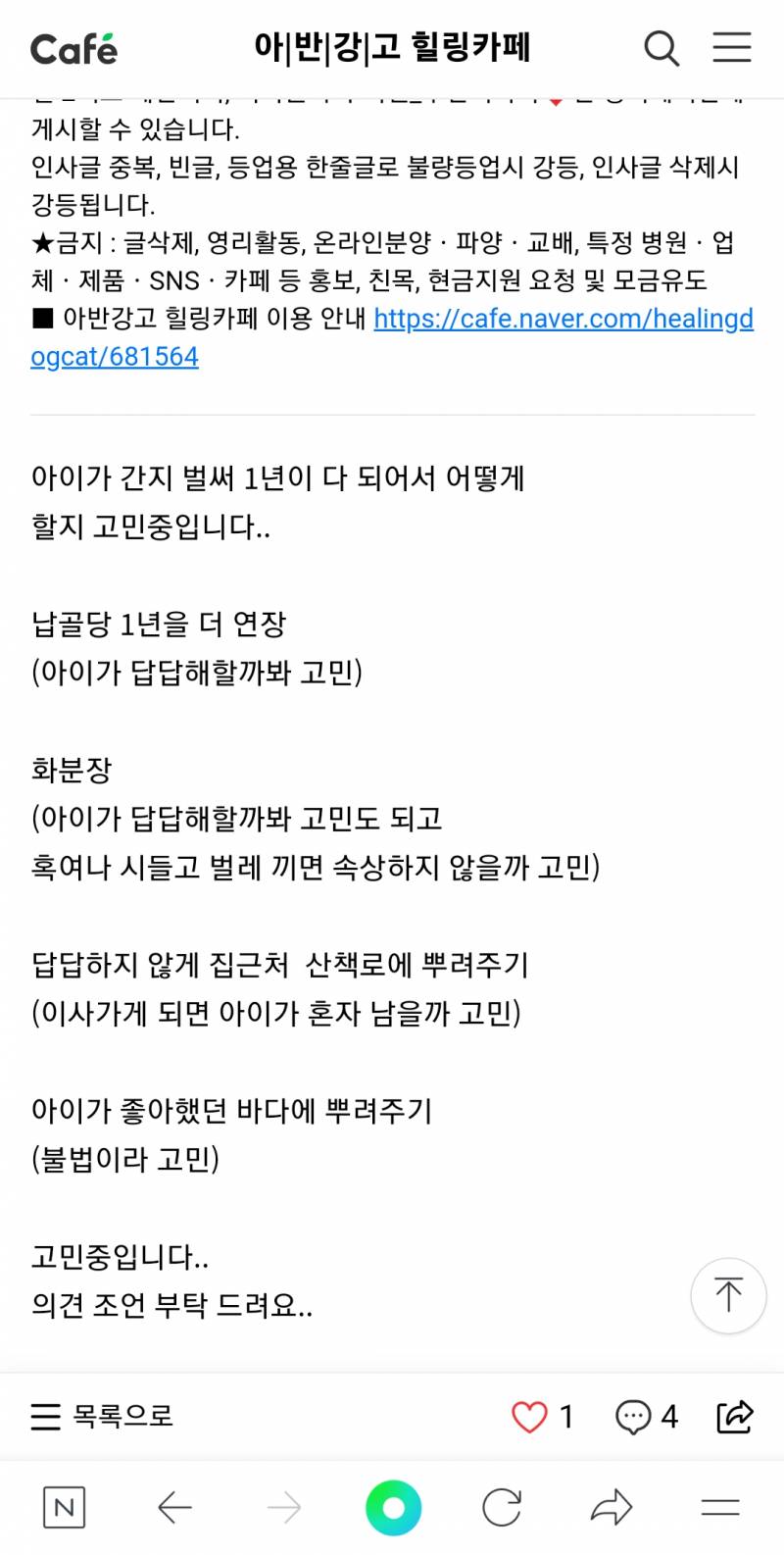 곧 강아지 1주기인데.. 유골을 어떻게 해야할지 모르겠어 | 인스티즈