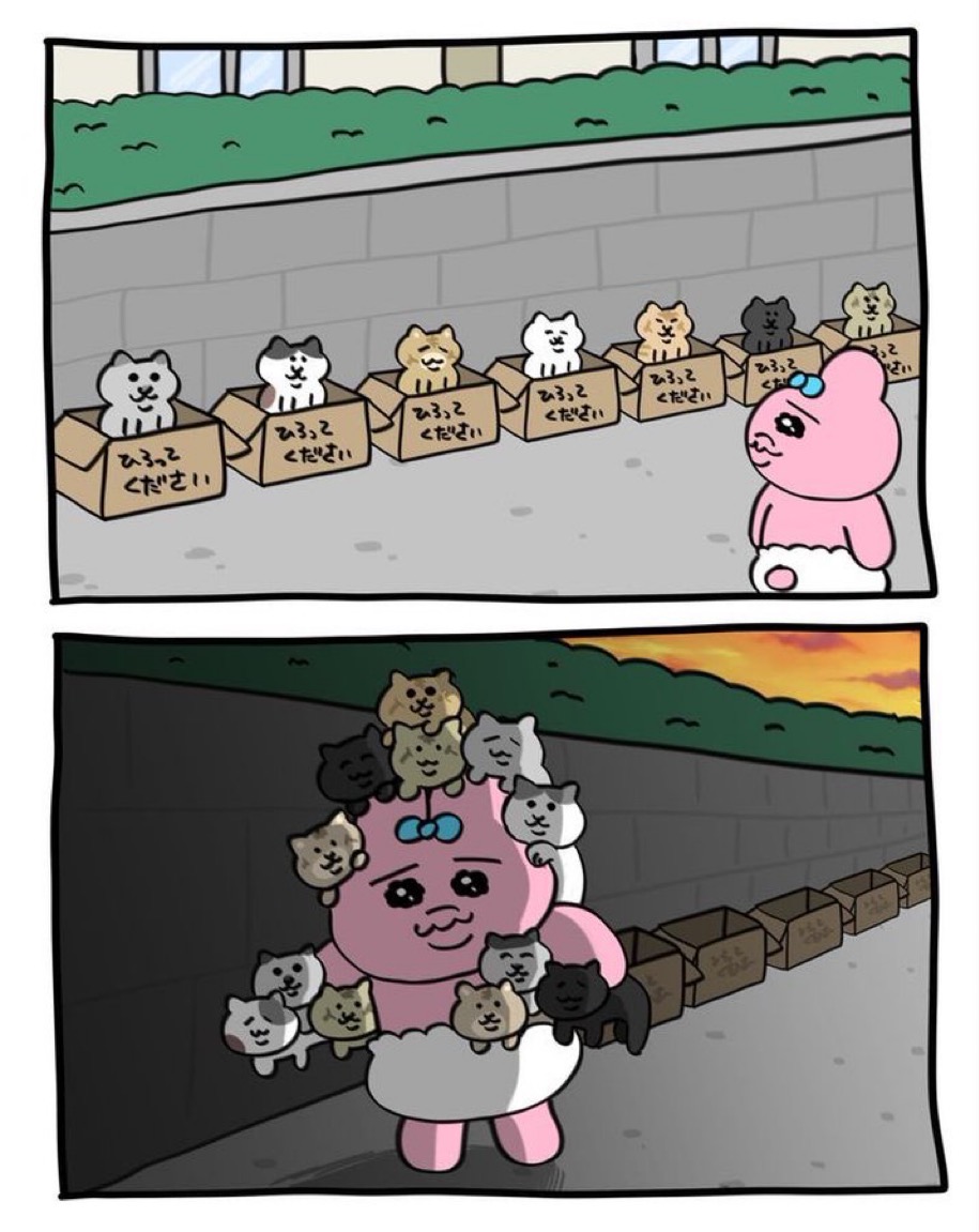 [잡담] 보플 시작하게 된 내 모습 … | 인스티즈