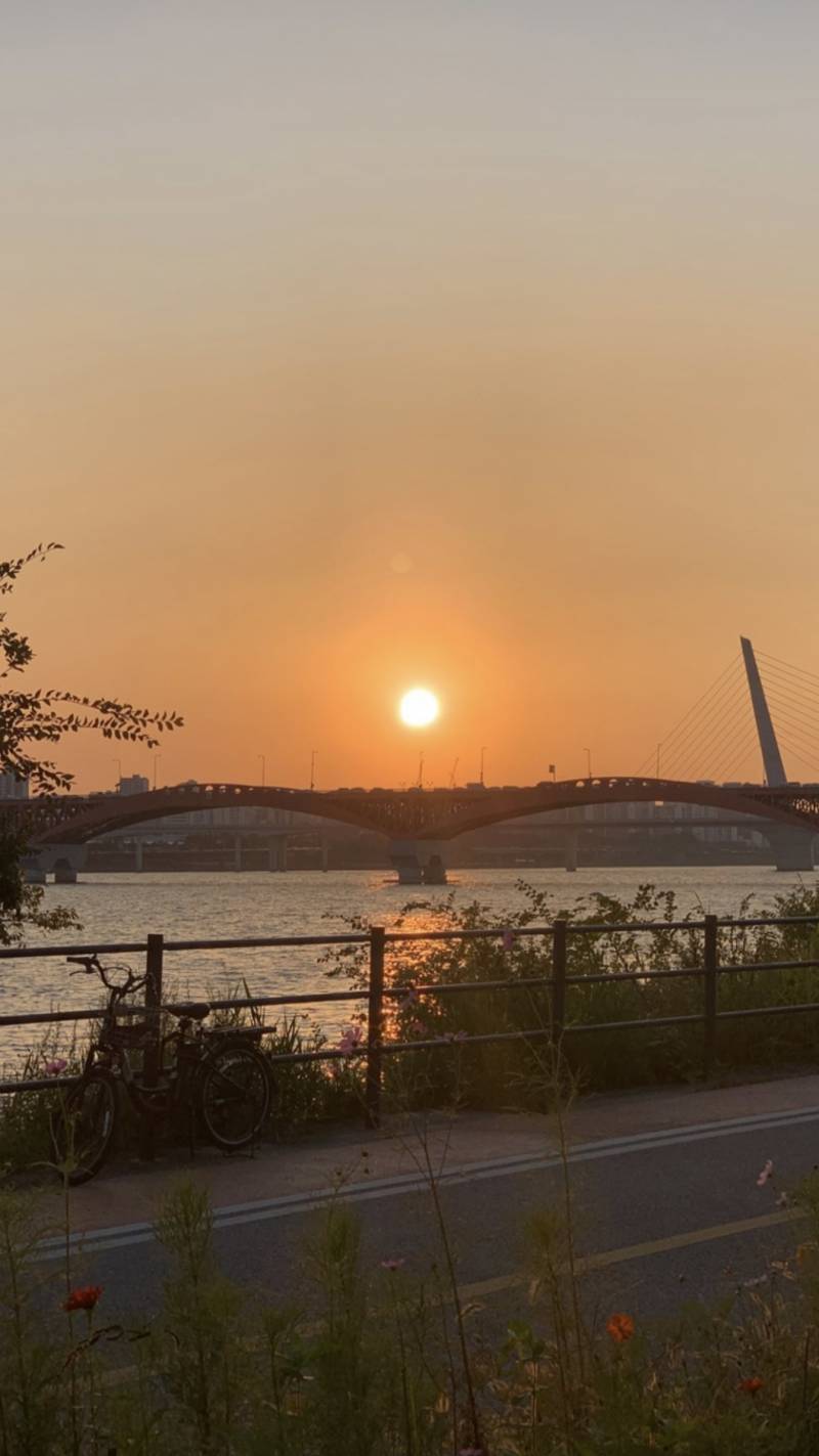 내일 한강러닝할건데 낮에 뛸까 일몰보면서 뛸까 (사진있음) | 인스티즈