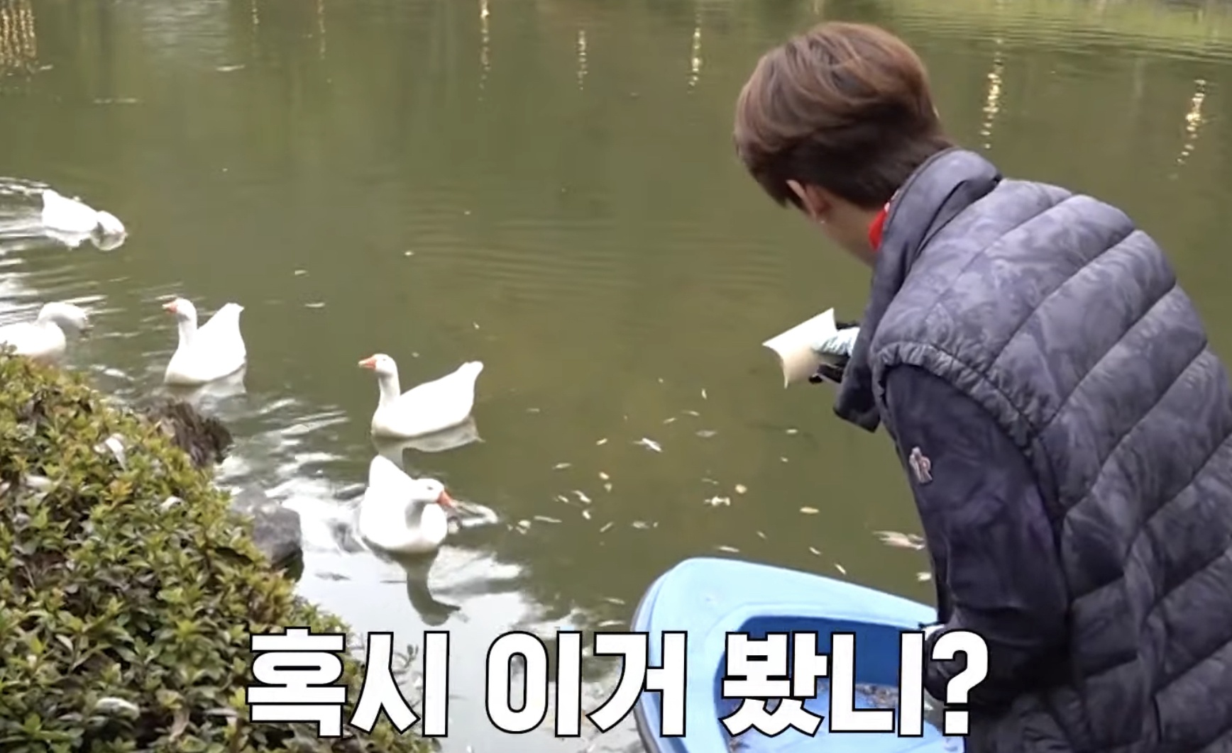 [잡담] 디노 진짜 편견 없다 이걸 거위한테 물어 보고 있어 | 인스티즈