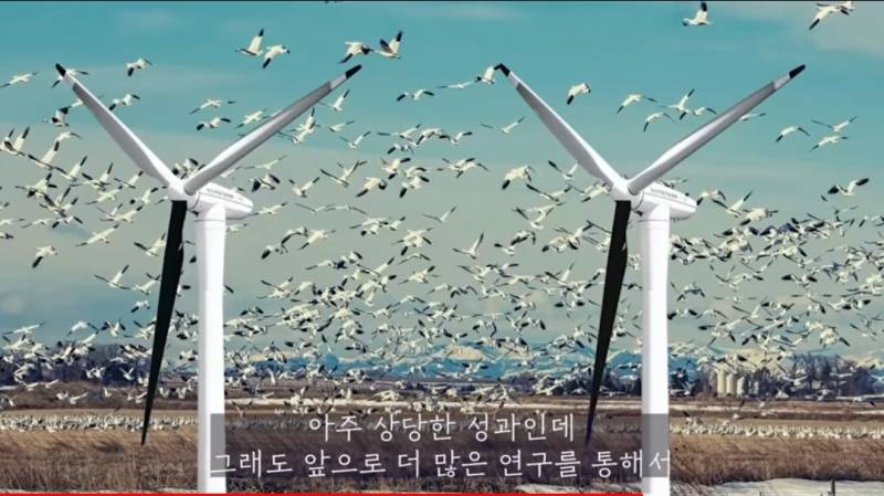 조류공포증사람들이 새때보면 무슨생각들까 | 인스티즈