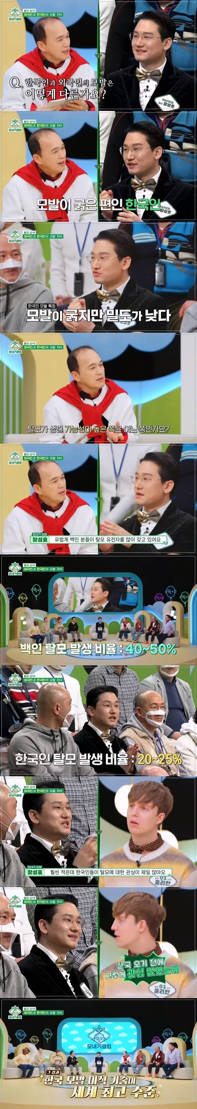 한국인과 외국인의 모발 차이 (ft. 탈모 발생비율) | 인스티즈