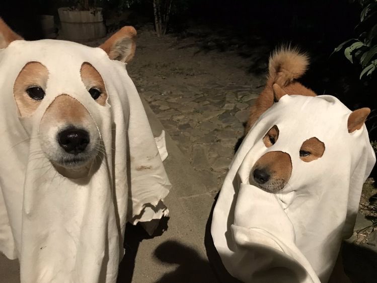 [잡담] 누가 이거 금준현 김태래랰ㅋㅋㅋㅋㅋㅋ | 인스티즈
