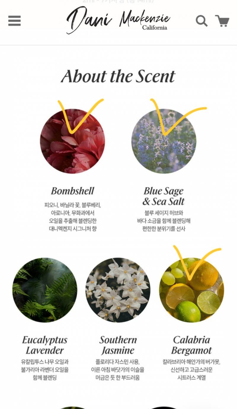 대니멕켄지 향 잘아는 사람~❓️🙋‍♀️ | 인스티즈