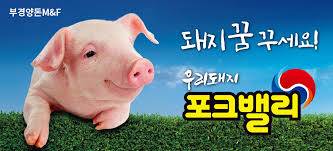 우리아들 고속도로에서 돼지보고 펑펑 운 사연 | 인스티즈