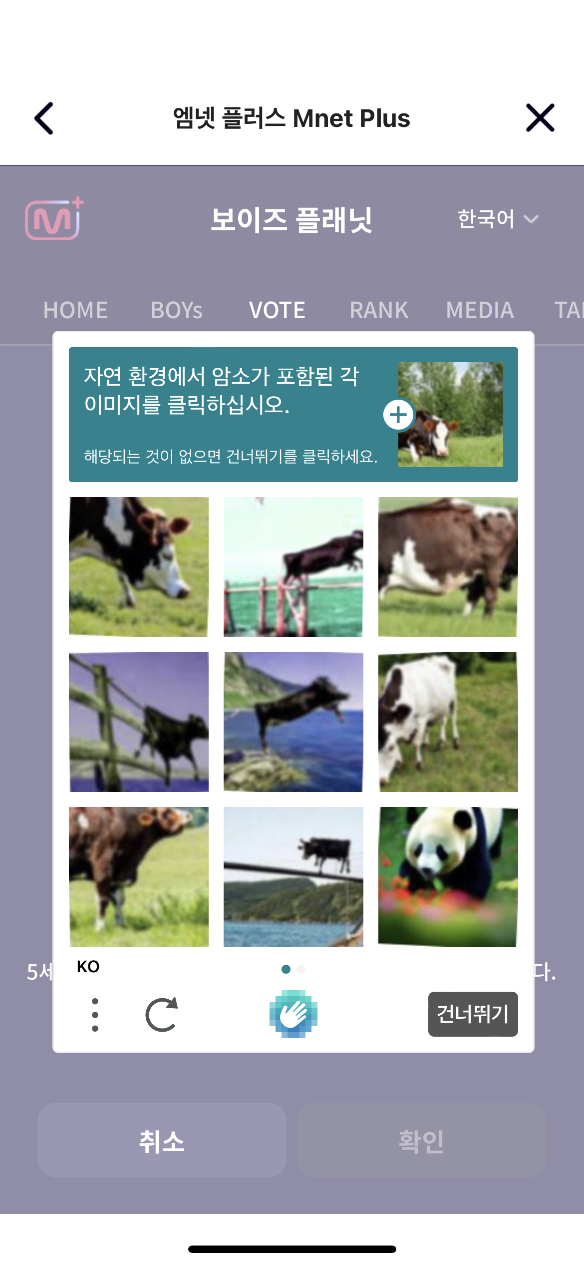 [잡담] 마지막 사진빼고 다 소 아님? | 인스티즈