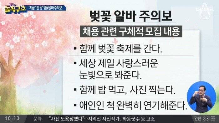 익들은 벚꽃알바 구하는사람 이해간다 vs 왜 저렇게까지? 어느쪽임? | 인스티즈