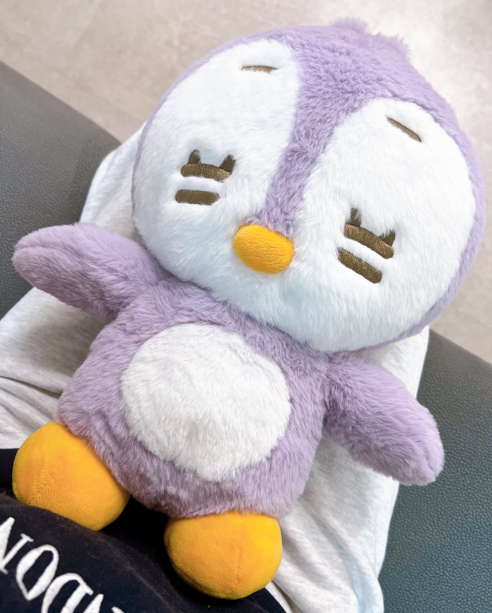 [잡담] 타팬들아 이중에서 뭐가 젤 귀여워?? | 인스티즈