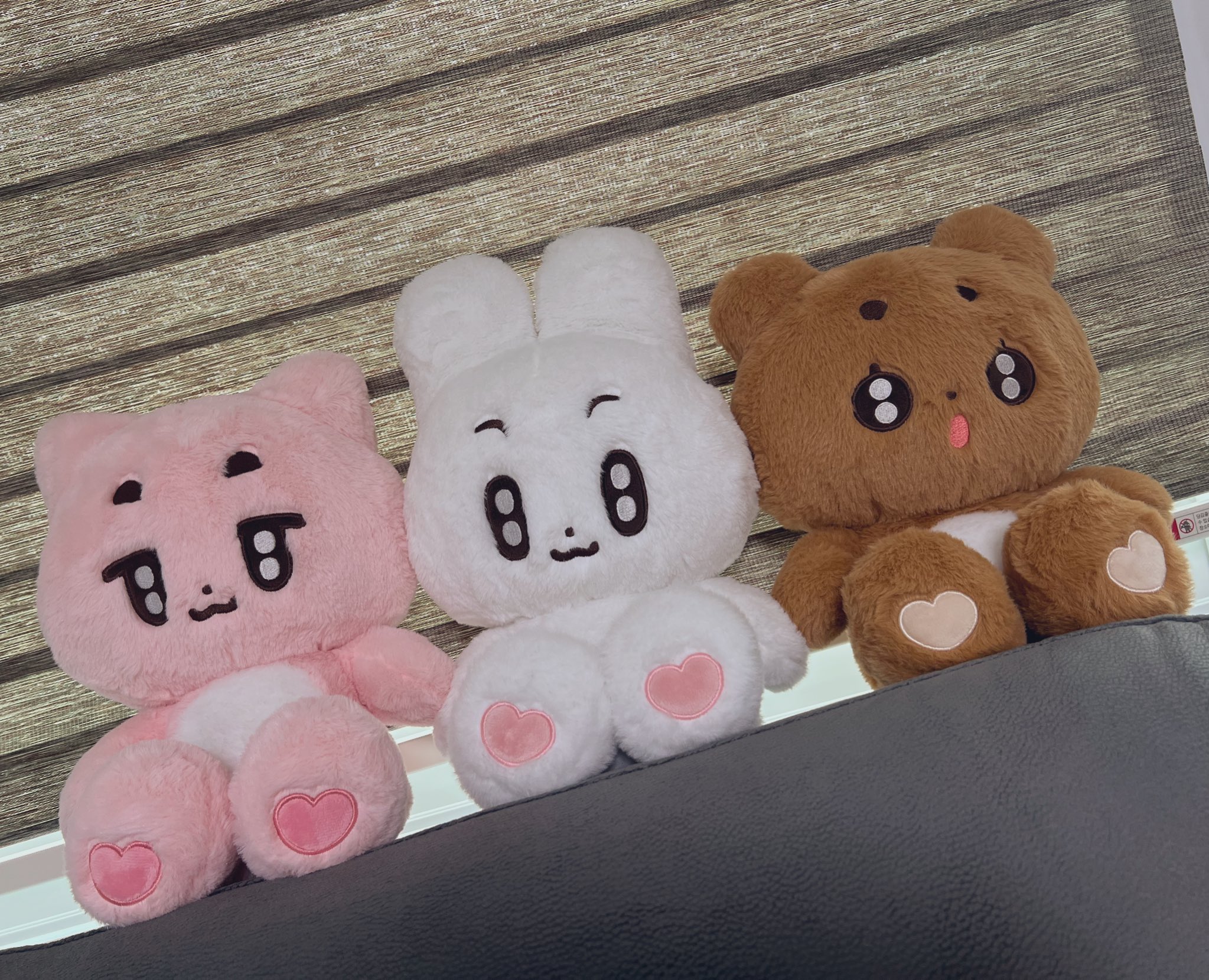 [잡담] 타팬들아 이중에서 뭐가 젤 귀여워?? | 인스티즈
