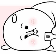 [잡담] 오늘 방탄 정국 라방 본 방탄팬들 타임라인 | 인스티즈