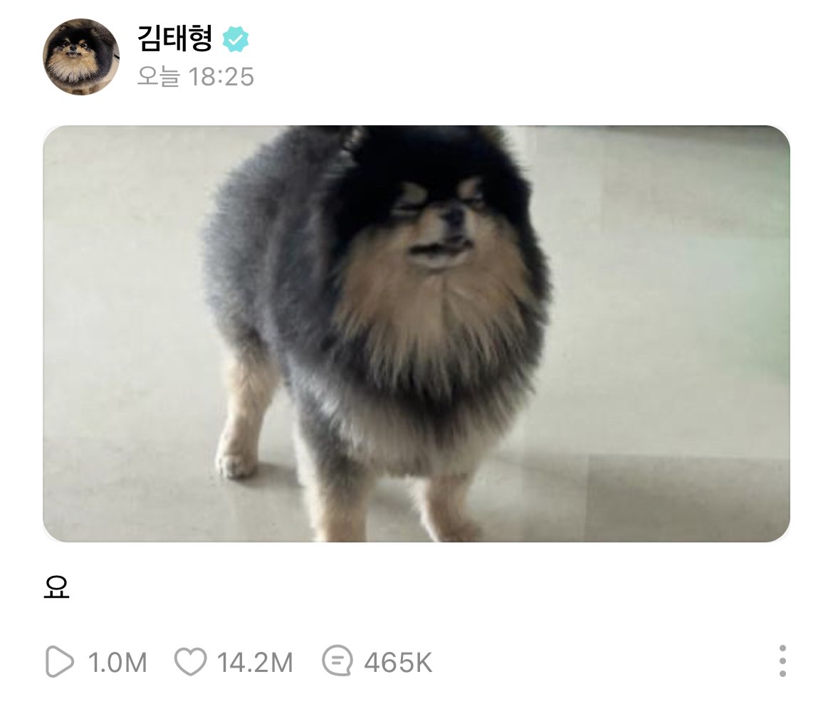 [잡담] 이게 뷔가 켠건지 연탄이가 켠건지 | 인스티즈