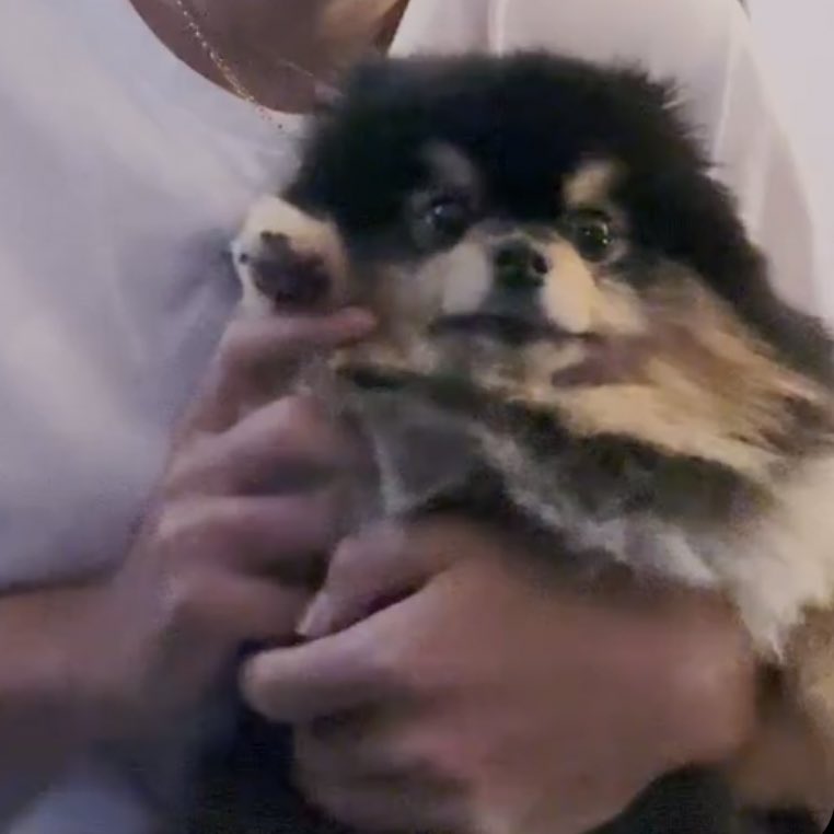 [잡담] 연타니 | 인스티즈