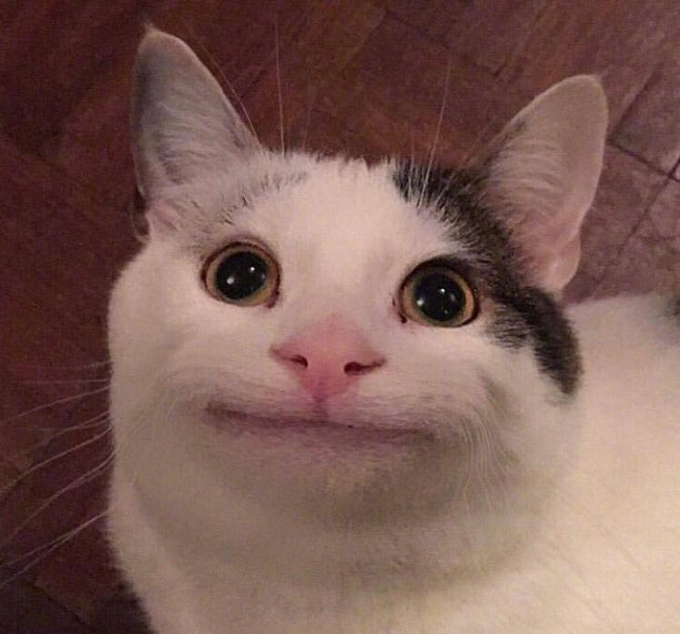 [잡담] 이거김지웅 | 인스티즈