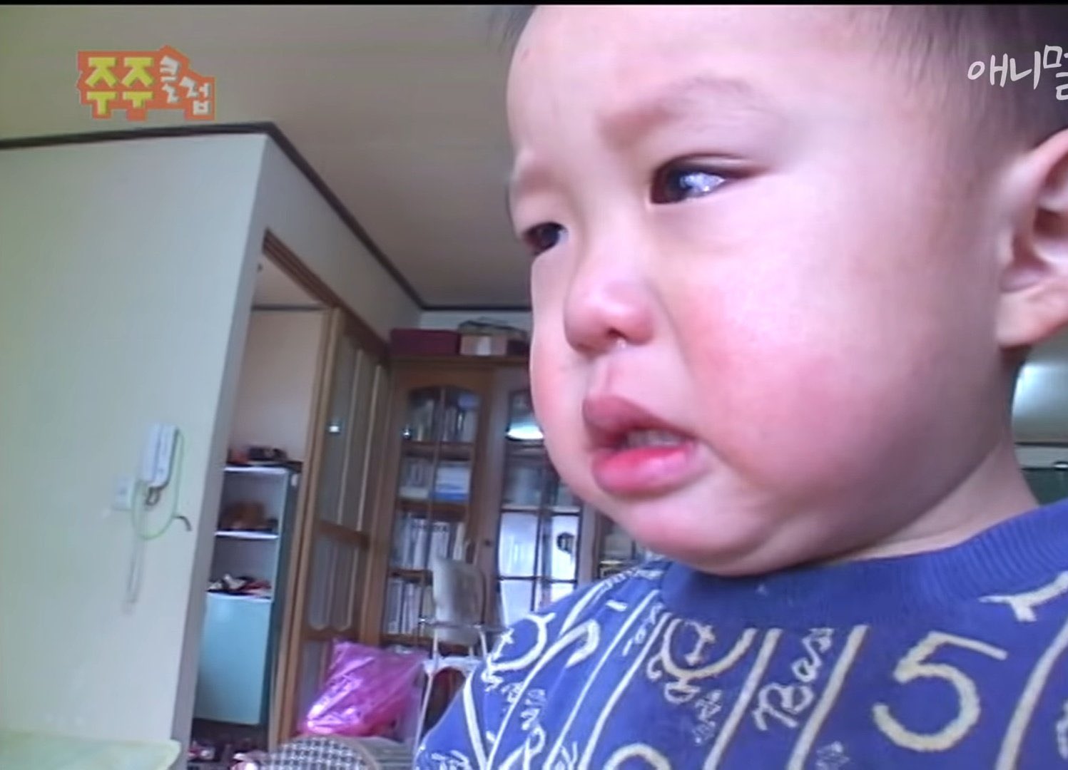 [잡담] 아 울음터져 진오빠 줘요 | 인스티즈