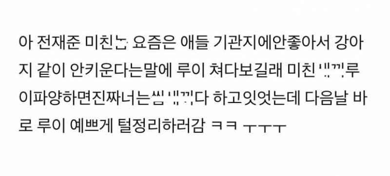 아 재준이 강아지 이거였구나 ㅋㅋㅋㅋㅋㅋ(ㅅㅍㅈㅇ) | 인스티즈