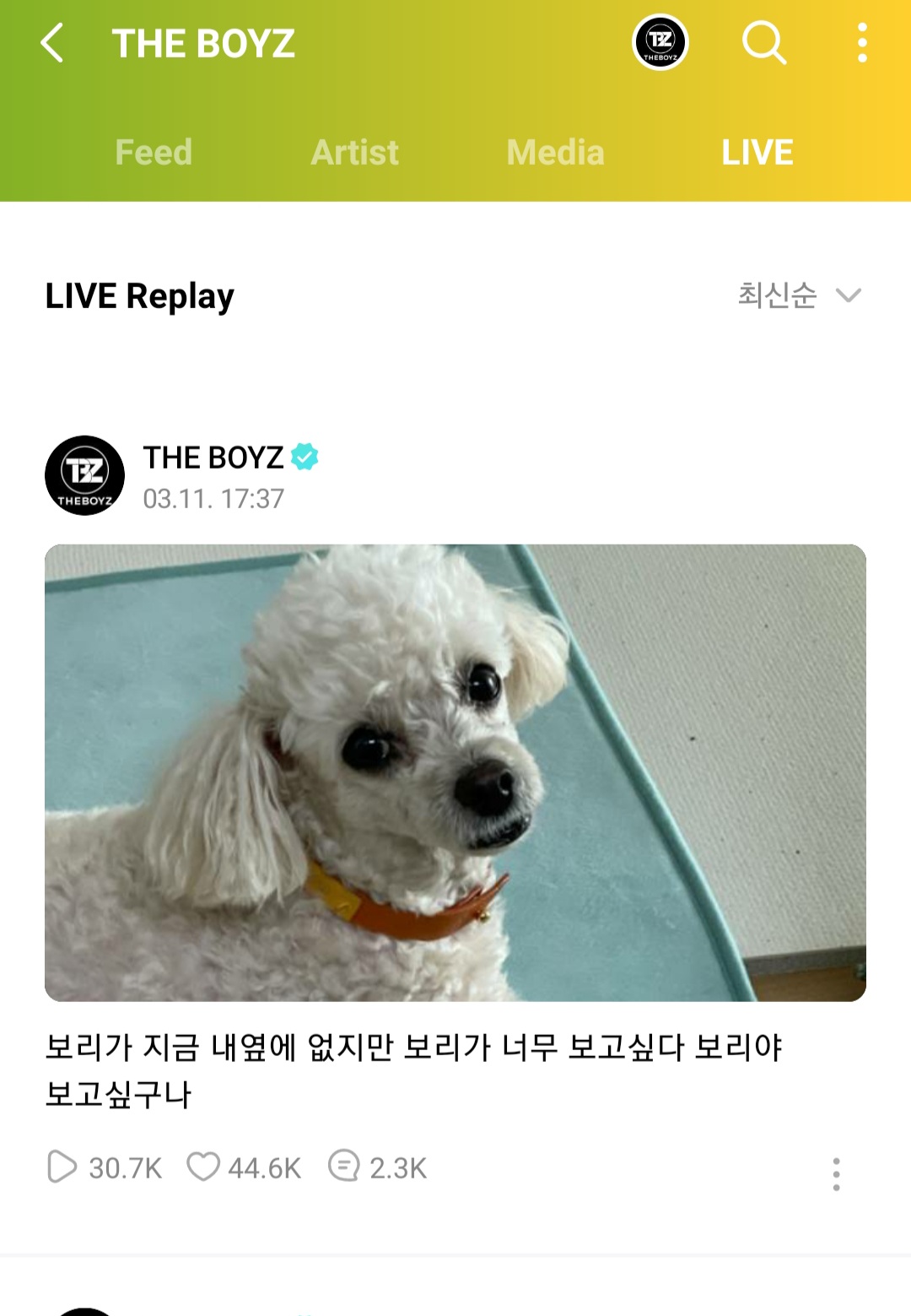 [잡담] 뭔가 방금 더보이즈 라이브 제목 딴사람이 보면 오해할 듯ㅋㅋㅋㅋㅋ | 인스티즈