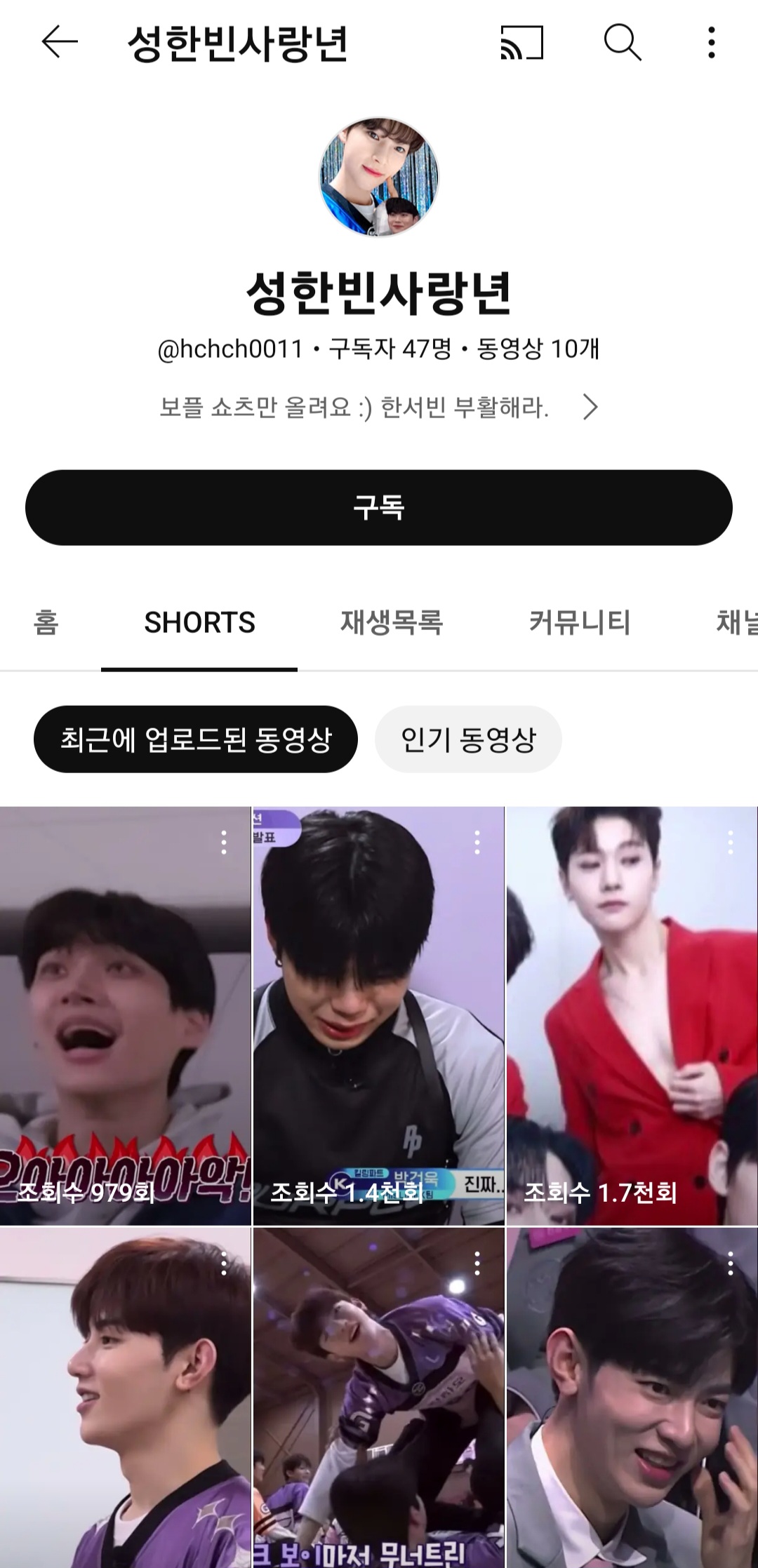 [잡담] 아니 이 보플 팬튜버분 번역기 돌려서 닉넴 지으셨나본데ㅋㅋㅋㅋㅋㅋㅋㅋ | 인스티즈