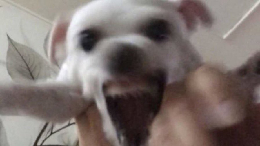 [잡담] 탈락 연생한테 감기면 어떻게 해야함❓ | 인스티즈