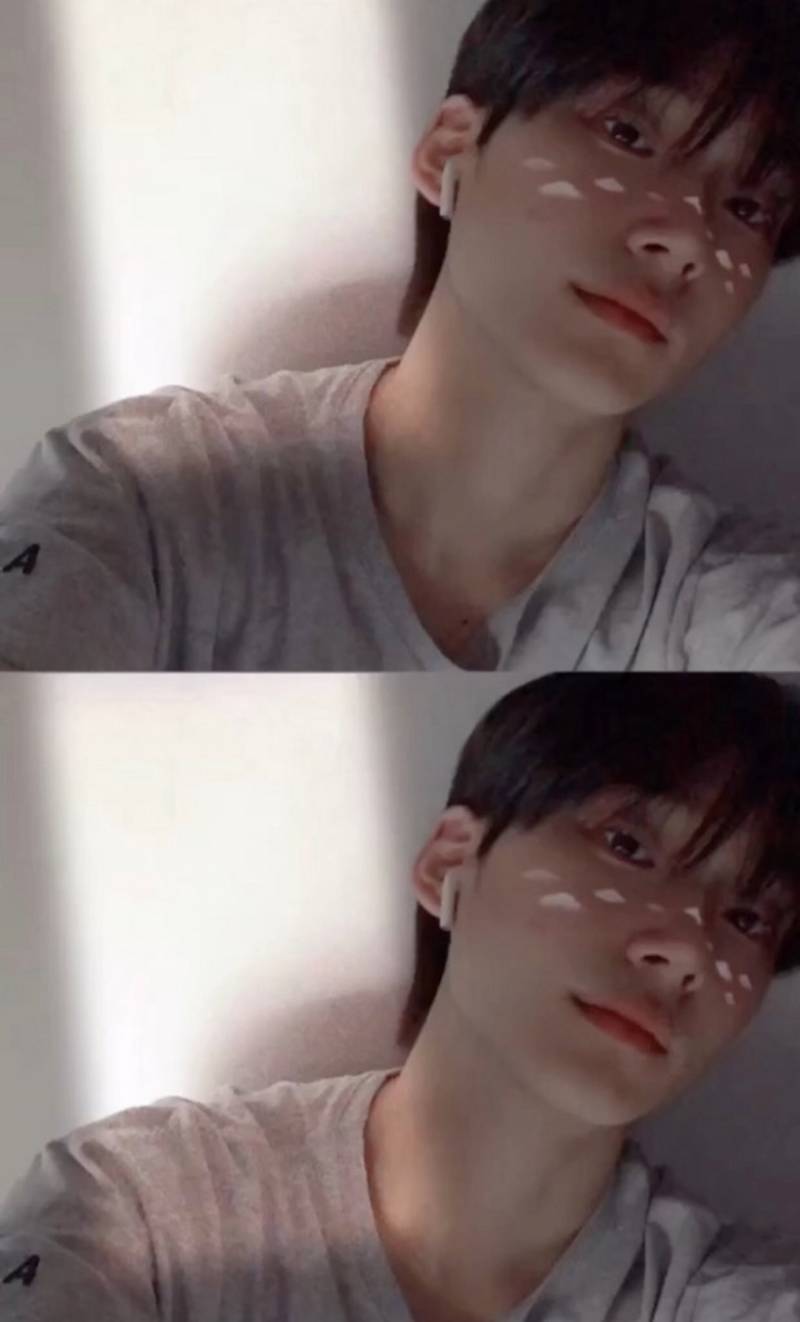 [잡담] 다정한 여우상 좋아하면 보플 박한빈 꼭 잡도록 해 .. | 인스티즈
