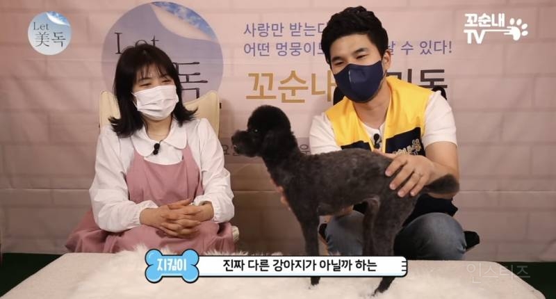 못 생겼다는 이유로 버려져서 안락사 위기였던 강아지 | 인스티즈