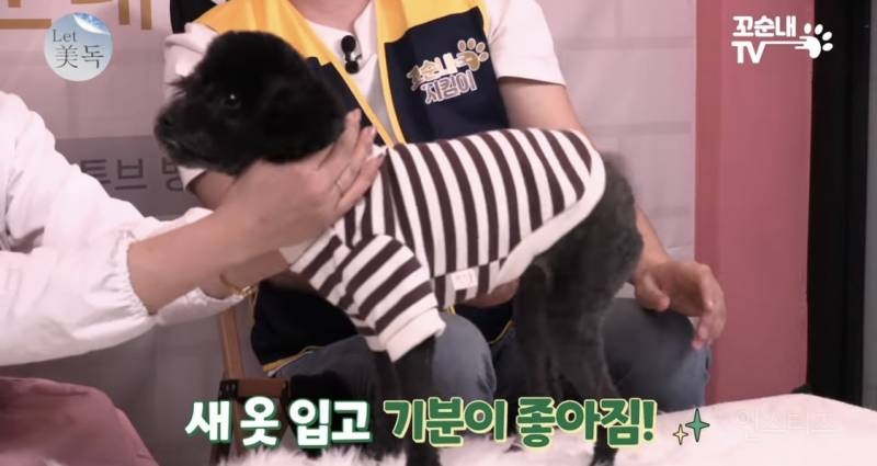 못 생겼다는 이유로 버려져서 안락사 위기였던 강아지 | 인스티즈