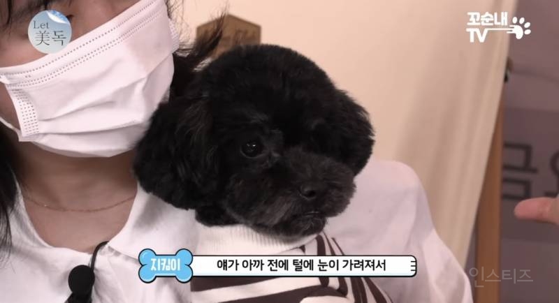 못 생겼다는 이유로 버려져서 안락사 위기였던 강아지 | 인스티즈
